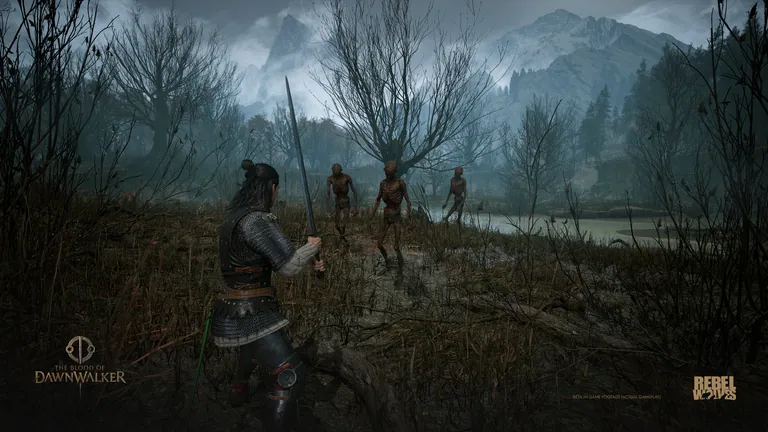 Coen approaching a group at night in an official Dawnwalker screenshot